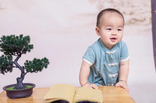 简阳可爱的企鹅宝宝
